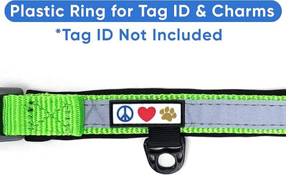 Pawtitas Lumberjack Padded Martingale Collar for Dogs | Soft Neoprene Dog Collar for Your pet's Comfort Made with Reflective Band for Maximum Visibility | Fits Small and Large Pets - XS Green