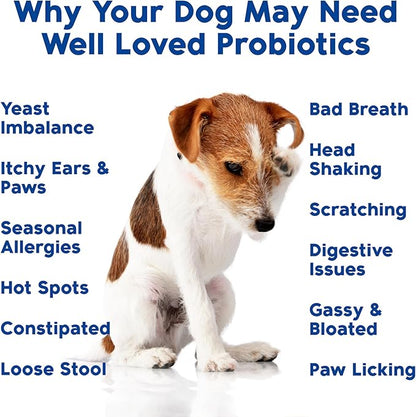 Well Loved Probiotics for Dogs, Dog Probiotics, Made in USA, Vet Developed for Gut Health, Yeast Balance, Itchy Skin, Diarrhea & Gas Relief, Chews with Prebiotic & Digestive Enzymes, Digestive Support