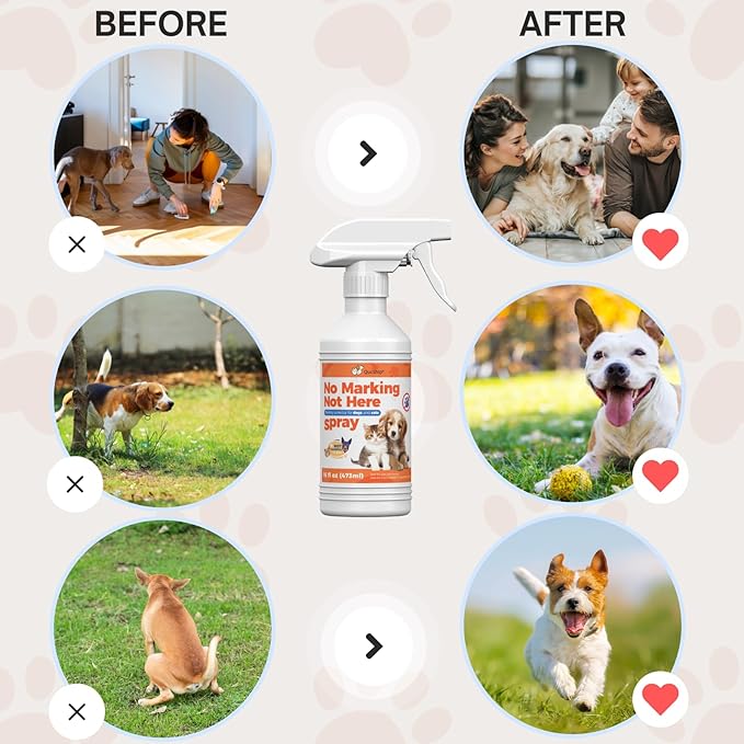 Qucship 16oz No Pee Spray for Dogs Inside, Stop Dog Urinating in House with No More Peeing, Indoor Dog No Marking Spray for Furniture & Carpet, Best Don't Pee Here Dogs Right