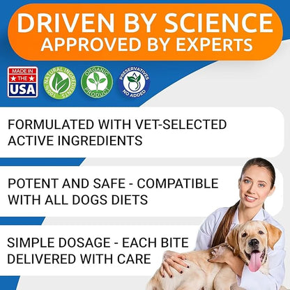 BARK&SPARK Dog Allergy Relief Soft Chews for Skin Health & Seasonal Allergies - Anti-Itch Supplement w/Omega-3, Quercetin & Bromelain Immune Treats for Dry Skin & Hot Spots - Chicken - 240ct