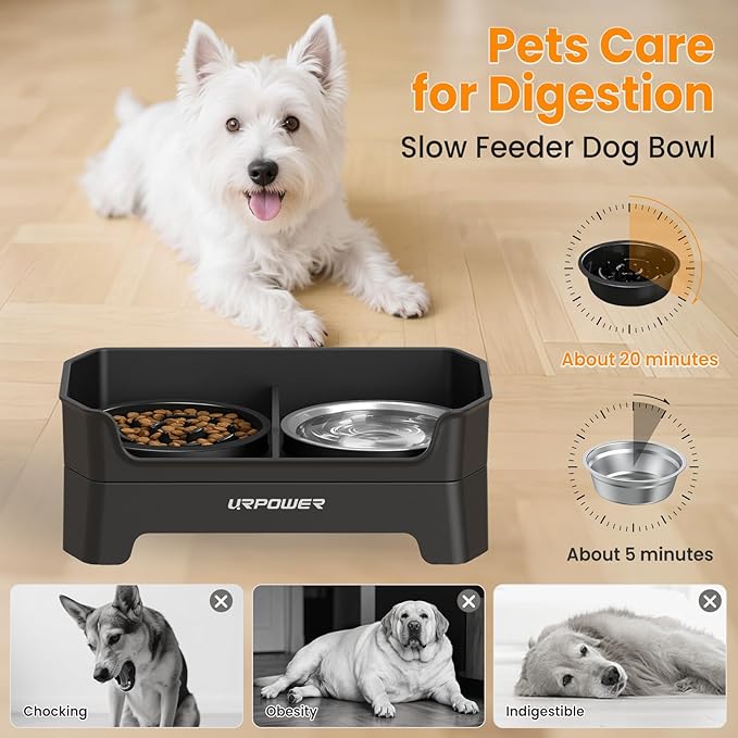 URPOWER 3-in-1 Elevated Dog Bowls - Mess Proof Double Deck 4 Height Adjustable Raised Stand with 2 Stainless Steel Food Bowls & Licking Plate for Small, Medium & Large Dogs