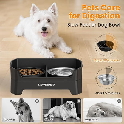 URPOWER 3-in-1 Elevated Dog Bowls - Mess Proof Double Deck 4 Height Adjustable Raised Stand with 2 Stainless Steel Food Bowls & Licking Plate for Small, Medium & Large Dogs