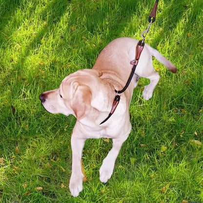 MayPaw Slip Collar Nylon Rope Choke Collar for Dog Training- No Pull Round Martingale Dog Collars for Medium Large Dogs (24" x 1/2", Green)