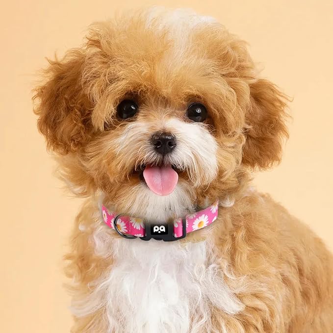 QQPETS Adjustable Soft Dog Collar: Print Flower Pink Multicolor Cute Patterns for XS Small Medium Large Pet Girl Boy Puppy Walking Running Training (M, Small Daisies)