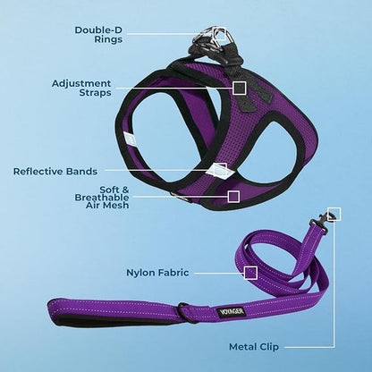 Best Pet Supplies Voyager Step-in Air All Weather Mesh Harness and Reflective Dog 5ft Leash Combo with Neoprene Handle, for Small, Medium and Large Breed Puppies - Set (Purple/Black Trim), XX-Small
