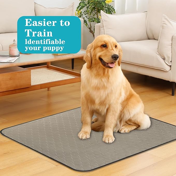 Bunlitent Washable Pee Pads for Dogs 36" x 48", 5 Pack, Reusable Potty Buddy for Dogs Washable, Dog Training Pads with Quick Dry, Large Anti-Slip Whelping Pad for Pet, Playpen, Incontinence