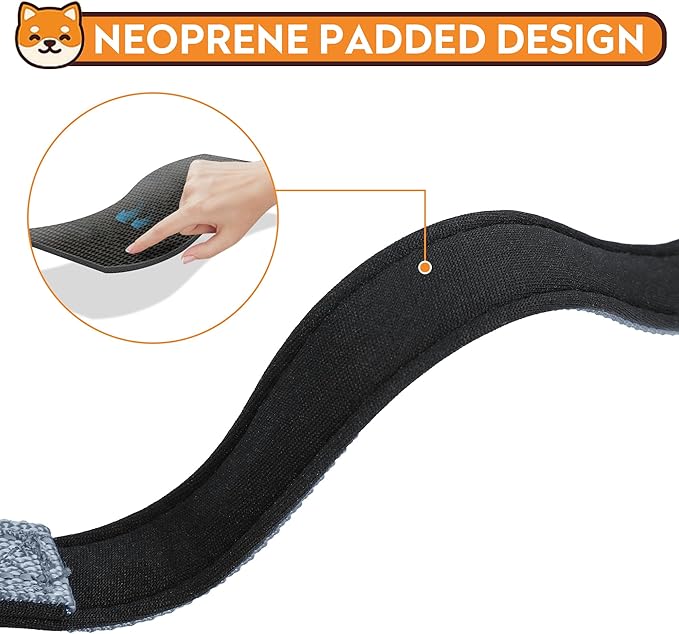 Reflective Dog Collar, Adjustable Soft Neoprene Padded Nylon Pet Collars with Buckle for Medium Dogs, Gray,M