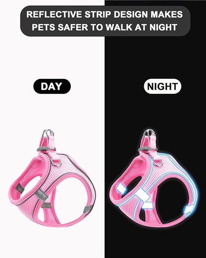 L Orange Soft Mesh Dog Harness and Leash Set,No Escape Puppy Harnesses for Training Walking， Reflective Adjustable Puppy Vest for Small Medium Dogs, Cats (Orange, L)