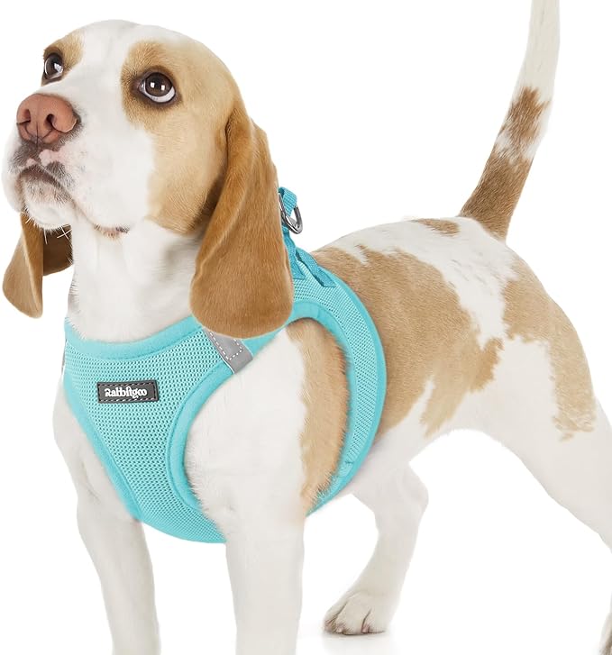 rabbitgoo Small Dog Harness, Step-in Soft Mesh Puppy Vest with Safety Buckle, Breathable Reflective Pet Harness for Small Sized Dogs, Mint Blue M
