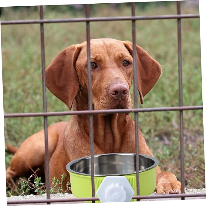 BESPORTBLE Pet Drinking Bowls Insulated Dog Water Bowl Portable Easy Stainless Steel Pet Feeder