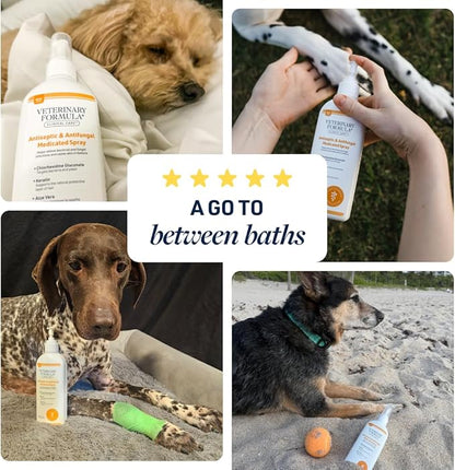 Veterinary Formula Clinical Care Antiseptic and Antifungal Spray for Dogs and Cats - Helps Alleviate Scaly, Greasy, or Red Skin and Supports Skin Prone to Odor Causing Buildup - Pack of 2, 8 oz Each