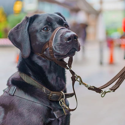 Halti Headcollar - Stop Your Dog Pulling on The Leash. Adjustable, Reflective and Lightweight, with Padded Nose Band. Dog Training Anti-Pull Collar for Large Dogs (Size 4, Deep Walnut)