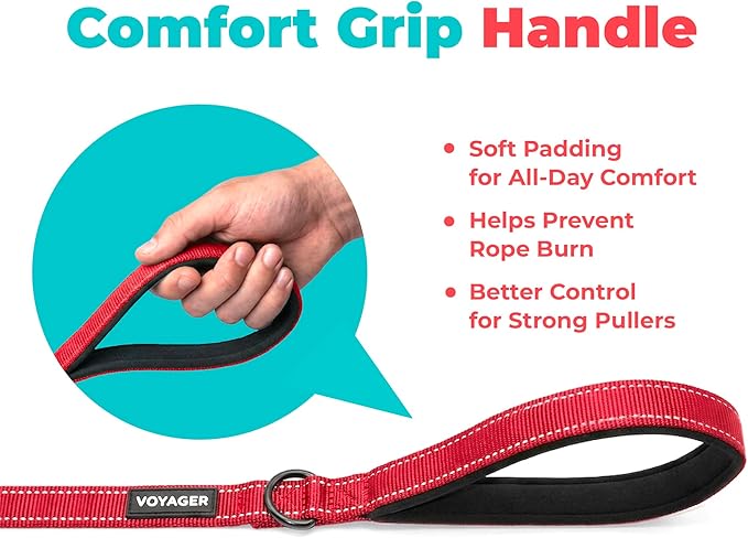 Best Pet Supplies Voyager Reflective Dog Leash or Collar with Neoprene Handle, for Small, Medium, and Large Breed Puppies, Cute and Heavy Duty for Walking, Running and Training - Red (Leash), L