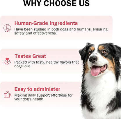 Cranberry for Dogs, 120 Chewable Tablets, UTI Treatment for Dogs, Urinary Tract Support, Promote Kidney and Bladder Health, Cranberry Supplement for Dog