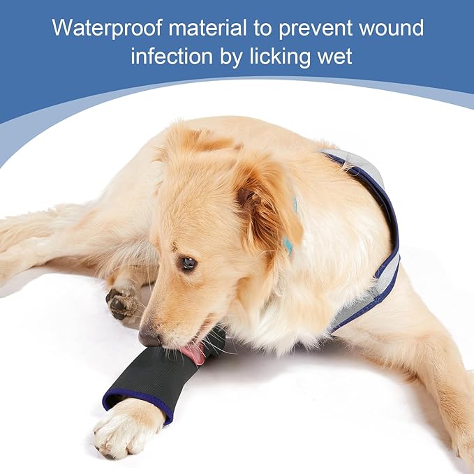Coodeo Dog Recovery Suit, Cone Collar Alternative, Abrasion Resistant Dog Recovery Sleeve, Washable 2.5mm Thick and Waterproof, Pet Wounds Prevent Licking, Bite, Keep Dry（Grey，XL