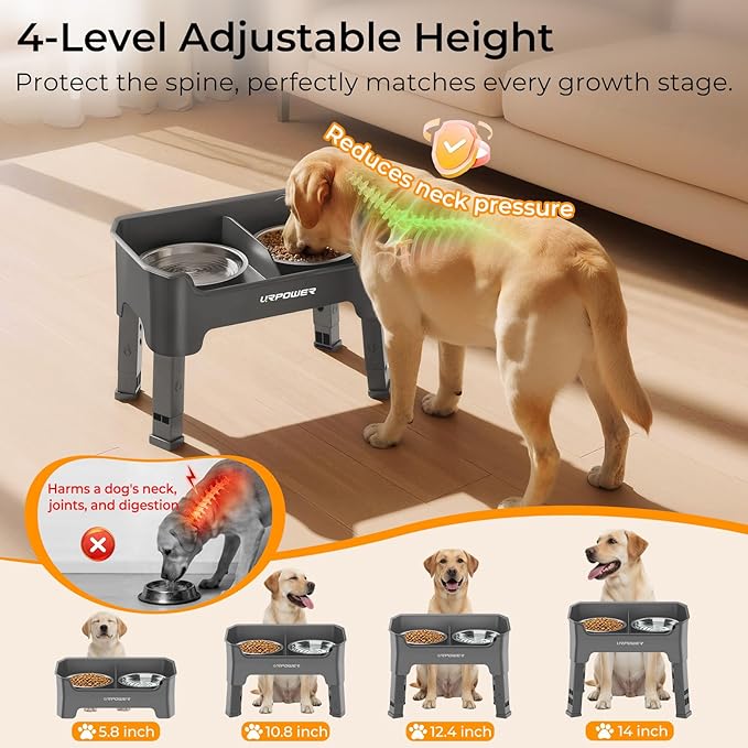 URPOWER Mess Proof Elevated Dog Bowls, High Wall Splash Guard Design, 4 Height Adjustable Raised Bowl Stand, 2 Stainless Steel Bowls, Non-Slip Food Water Set for Small Medium Large Dogs