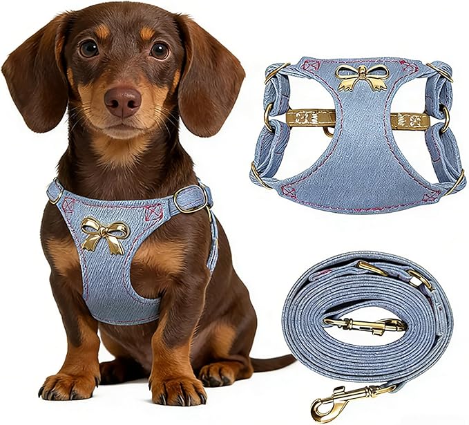 No Pull Dog Harness and Leash Set for Small Sized Dog Training Puppy Harnesses with Multifunction Dog Leash Soft Adjustable Denim No Choke Escape Proof Pet Harness for Small and Medium Dog (Blue XXS)