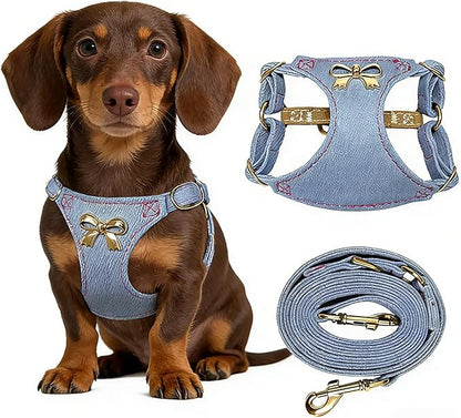 No Pull Dog Harness and Leash Set for Small Sized Dog Training Puppy Harnesses with Multifunction Dog Leash Soft Adjustable Denim No Choke Escape Proof Pet Harness for Small and Medium Dog (Blue XXS)