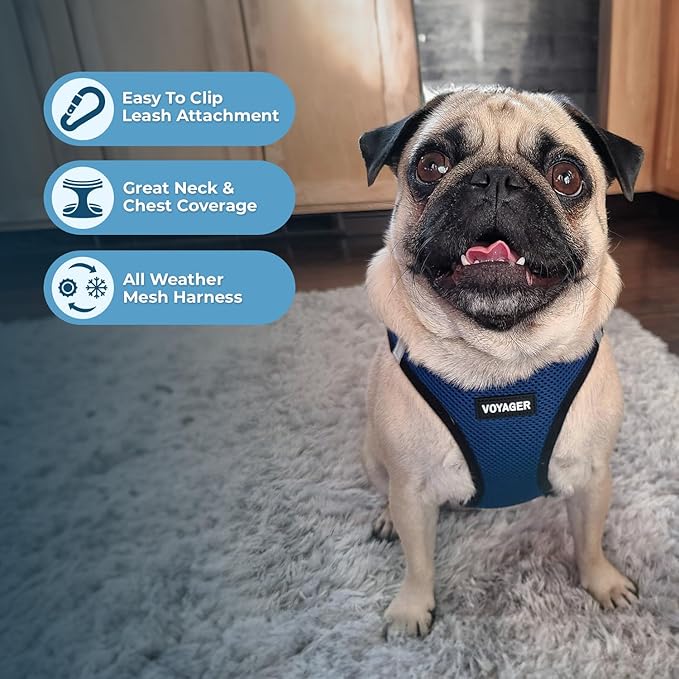 Best Pet Supplies Voyager Step-in Air All Weather Mesh Harness and Reflective Dog 5ft Leash Combo with Neoprene Handle, for Small, Medium and Large Breed Puppies - Set (Blue/Black Trim), Small