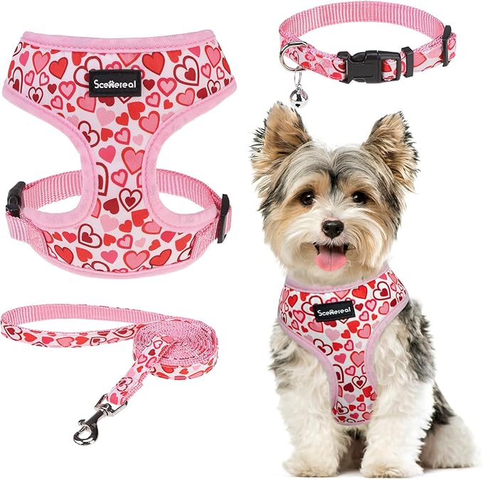 SCENEREAL Valentines Dog Harness Collar and Leash Set for Small Dogs, Soft Mesh Harnesses，Pet Vest for Outdoor Walking Training and Running, XS