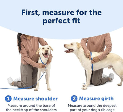 PetSafe Easy Walk Comfort No-Pull Dog Harness - Better Walk Training Harness - Full Body Padded Design - Durable Fabric - 5 Point Adjustable Fit - Everyday Leash Training - Blue - Small/Medium