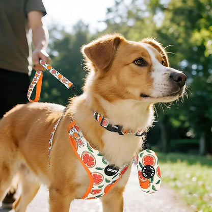 Small Dog Harness and Leash Set of 6, No Pull Soft Lightweight Mesh Puppy Harness， Adjustable Cute Floral Pattern Pet Harness for Small Medium Dogs (Orange, S)