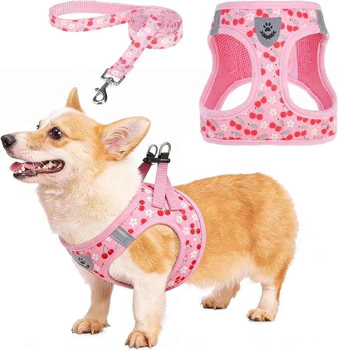 KOOLTAIL Dog Harness for Small Medium Dogs,Dog Harness and Leash Set, Step in No Pull Soft Mesh Padded Adjustable and Reflective Pet Vest Harness Puppy, Plaid Extra Harness for XS S Dogs,Pink Cherry,M