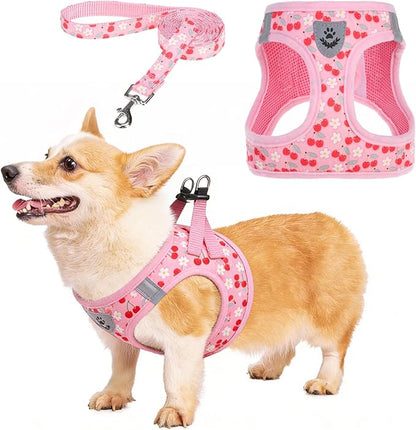 KOOLTAIL Dog Harness for Small Medium Dogs,Dog Harness and Leash Set, Step in No Pull Soft Mesh Padded Adjustable and Reflective Pet Vest Harness Puppy, Plaid Extra Harness for XS S Dogs,Pink Cherry,M