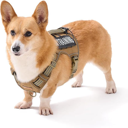 AUNZO No-Pull Adjustable Dog Harness for Small Dogs,Easy Control with Handle, for Havanese Chihuahua Puggle etc, Inescapable, Ez Walking, Safe Reflective Strips, No Rub,No Choke, Army Green, S