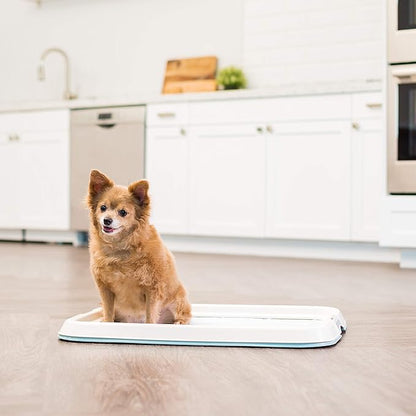 IRIS USA Pee Pad Holder for Dogs and Puppies, Potty Training Tray with Secured Latches, Non-Skid Feet, Leak Protection, Easy Clean Surface, Fits 17"x 23" Puppy Pads Size, Blue