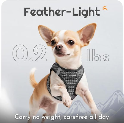 Eagloo Small Dog Harness and Leash Set, Step in Puppy Vest with Breathable Soft Mesh, Walking Reflective Pet Harness for Small Dogs, Gray, S