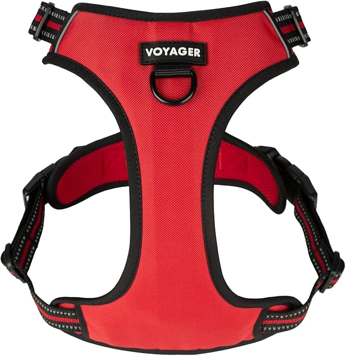 Voyager Dog Harness Dual Leash Attachment No-Pull Control Adjustable Soft but Strong Pet Harness for Medium and Large Dogs with 3M Reflective Technology, Red Lattice Nylon, L (Chest: 25-30")