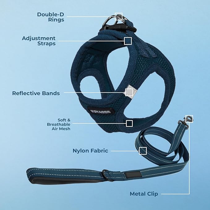 Best Pet Supplies Voyager Step-in Air All Weather Mesh Harness and Reflective Dog 5ft Leash Combo with Neoprene Handle, for Small, Medium and Large Breed Puppies - Set (Blue), X-Small