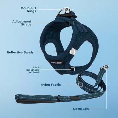 Best Pet Supplies Voyager Step-in Air All Weather Mesh Harness and Reflective Dog 5ft Leash Combo with Neoprene Handle, for Small, Medium and Large Breed Puppies - Set (Blue), XX-Small
