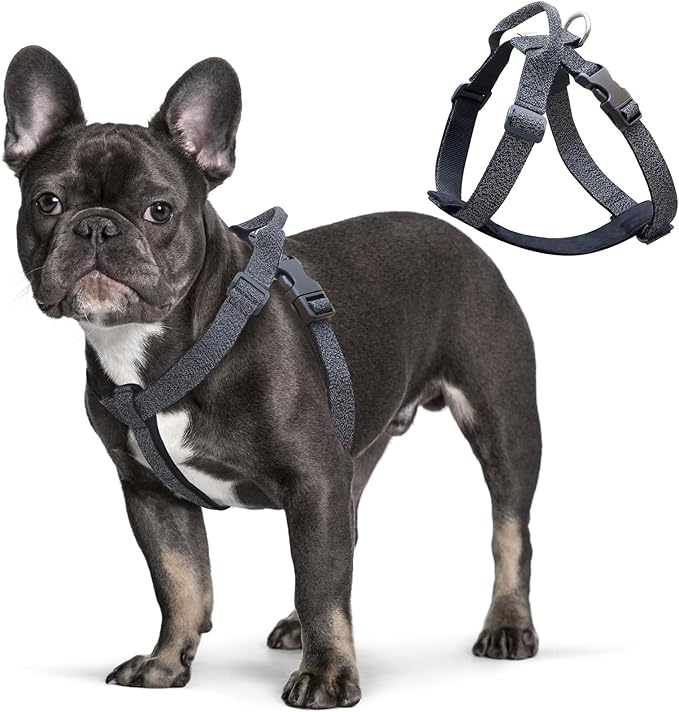 Galaxy Reflective Dog Harness,Adjustable 4-Point Fit,Anti-Pinch Buckles,Back-Clip Control & Emergency Handle,Velvet Lined for Small, Medium and Large Dogs, (Black, S)