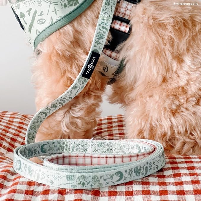 Lucy & Co. 5 Foot Designer Dog Leash for Small, Medium or Big Dogs or Puppies Puppy – Pet Accessories & Supplies- Large-Green Outdoor Plaid