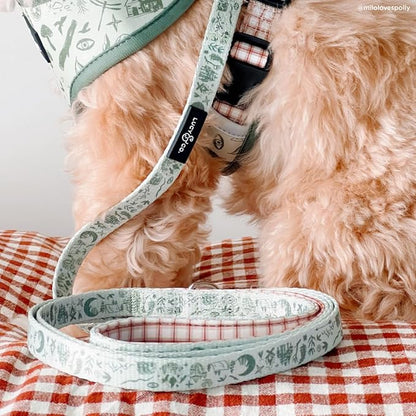 Lucy & Co. 5 Foot Designer Dog Leash for Small, Medium or Big Dogs or Puppies Puppy – Pet Accessories & Supplies- Large-Green Outdoor Plaid