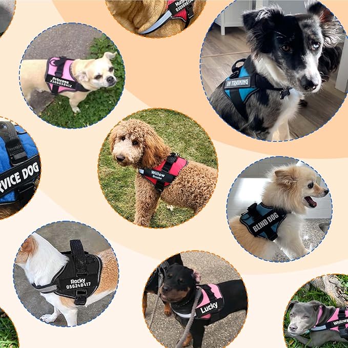 MUMUPET Custom Dog Harness Vest with 2 Personalized Name & Phone Patches, No Pull Reflective Adjustable with Handle, Soft Breathable Padding for Medium Dogs (Blue, M)