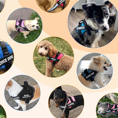 MUMUPET Custom Dog Harness Vest with 2 Personalized Name & Phone Patches, No Pull Reflective Adjustable with Handle, Soft Breathable Padding for Medium Dogs (Blue, M)