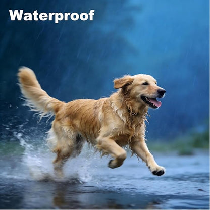 Flea and Tick Collar for Large Dogs, 1‑Pack | Dual‑Action Protection with Built‑in Repellent Drops, 8‑Month Waterproof Design | Natural Essential Oils, No Harsh Chemicals