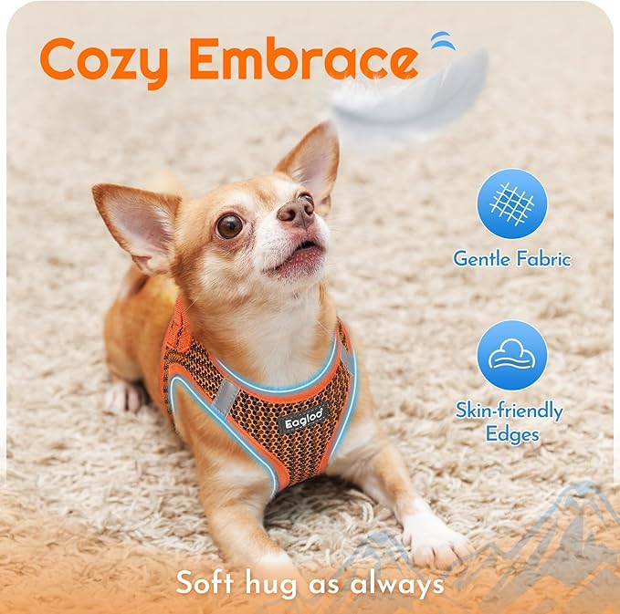 Eagloo Small Dog Harness and Leash Set, Step in Puppy Vest with Breathable Soft Mesh, Walking Reflective Pet Harness for Small Dogs, Orange, XS