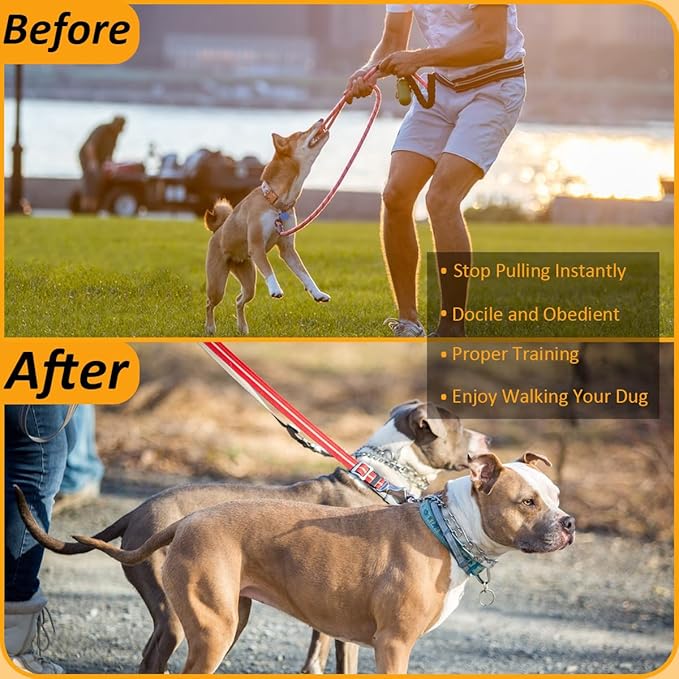 Anti-Tangling Collar, Quick Release Buckle Dog Collar, Adjustable Collar for Small, Medium & Large
