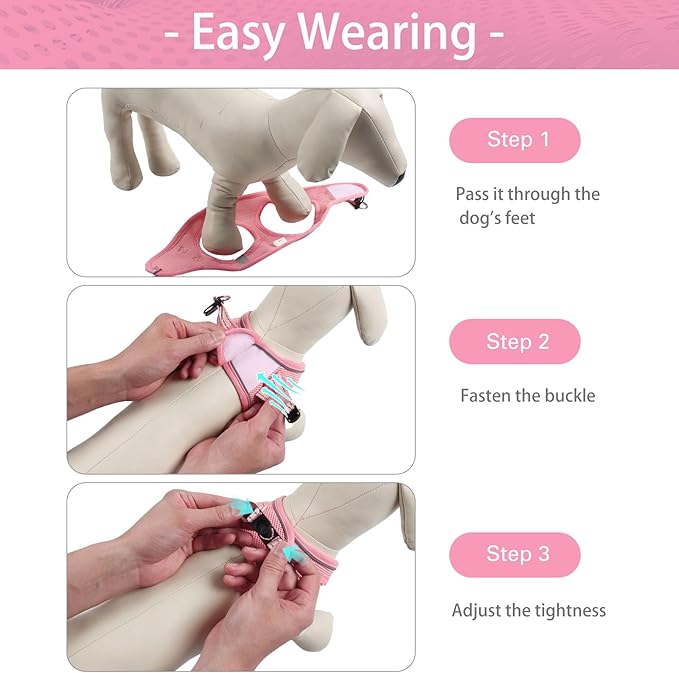 Dog Harness for Small Dogs and Leash Set, Honeycomb Grid, Reflective Lightweight Harness & Anti-Twist Pet Lead (Multi Color, Size: XS-S-M) (M, Pink)