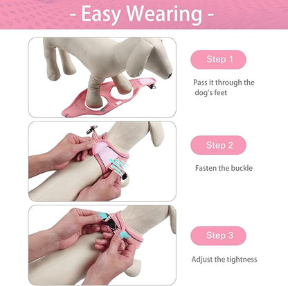 Dog Harness for Small Dogs and Leash Set, Honeycomb Grid, Reflective Lightweight Harness & Anti-Twist Pet Lead (Multi Color, Size: XS-S-M) (M, Pink)