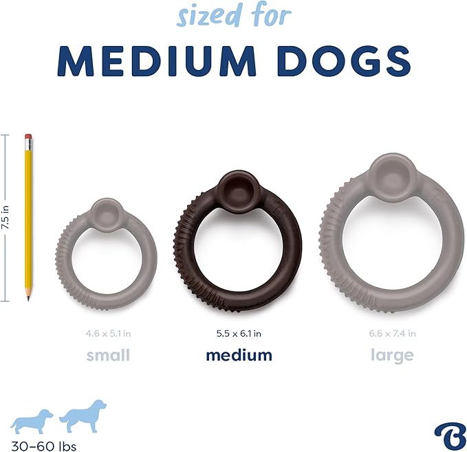 Benebone Ring Durable Dog Chew Toy for Aggressive Chewers – Limited Edition Blueberry Flavor, Medium