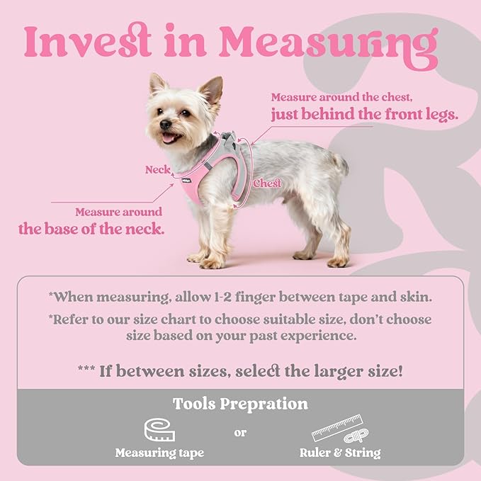 rabbitgoo Small Dog Harness, Step-in Soft Mesh Puppy Vest with Safety Buckle, Breathable Reflective Pet Harness for Small Sized Dogs, Pink & Gray M