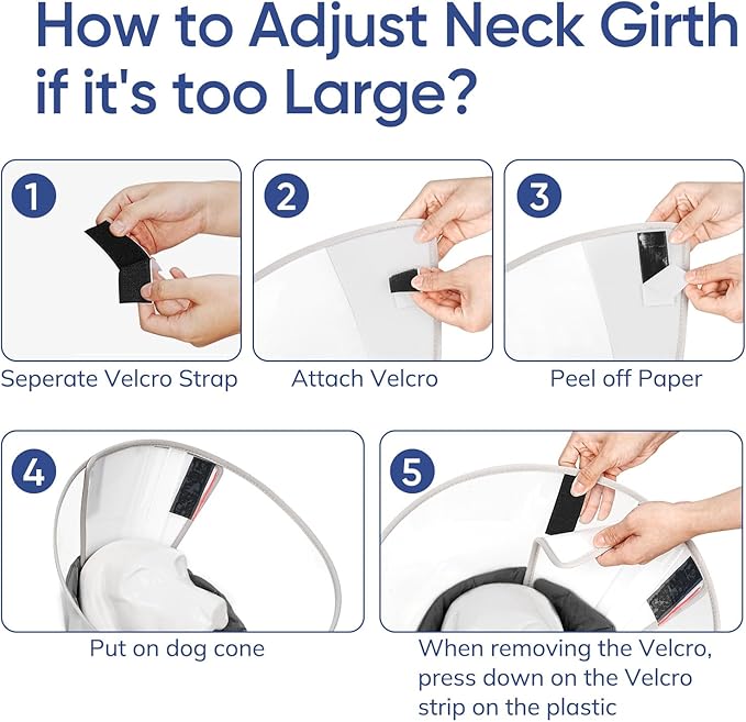 Supet Upgraded Dog Cone with Soft Liner, 20% Lighter Plastic Elizabeth Collar After Surgery to Stop Licking, for Spay Neuter Skin Problems Recovery, for Small Medium Active Large Dogs(Black,M)