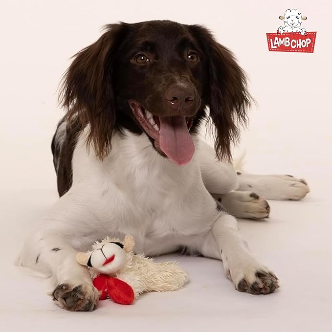 Multipet Lamb Chop Dog Plush Toy - Squeaky Toy for All Dogs - Extra Soft Plush - Stuffed Animal Dog-Toy for Cuddling & Playing - Cute Pet-Toy (6",Cream),(Pack of 3)