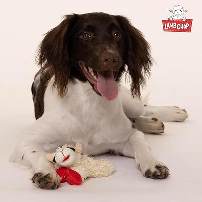 Multipet Lamb Chop Dog Plush Toy - Squeaky Toy for All Dogs - Extra Soft Plush - Stuffed Animal Dog-Toy for Cuddling & Playing - Cute Pet-Toy (6",Cream),(Pack of 3)