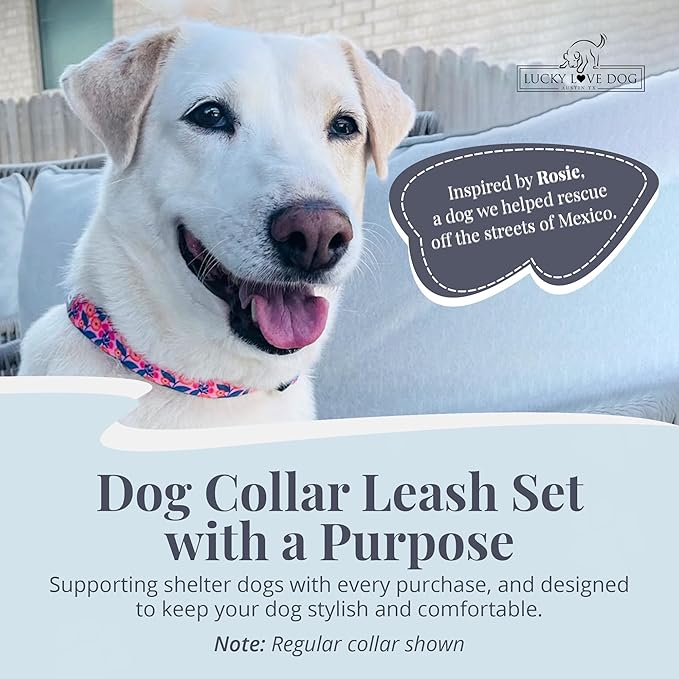 Lucky Love Dog Martingale Dog Collar & Leash - Adjustable, No-Slip, Durable, Comfortable, Soft Webbing, & Stylish Patterned Collar & Leash Set for Male and Female Dogs - Rosie Combo, Large
